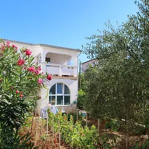 apartment-bunaric-i-br101-vir.hotelinzadar.com/